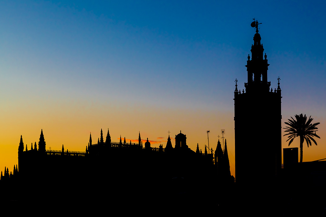 _MG_2774